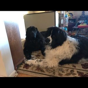 Meet your Posher, Kell